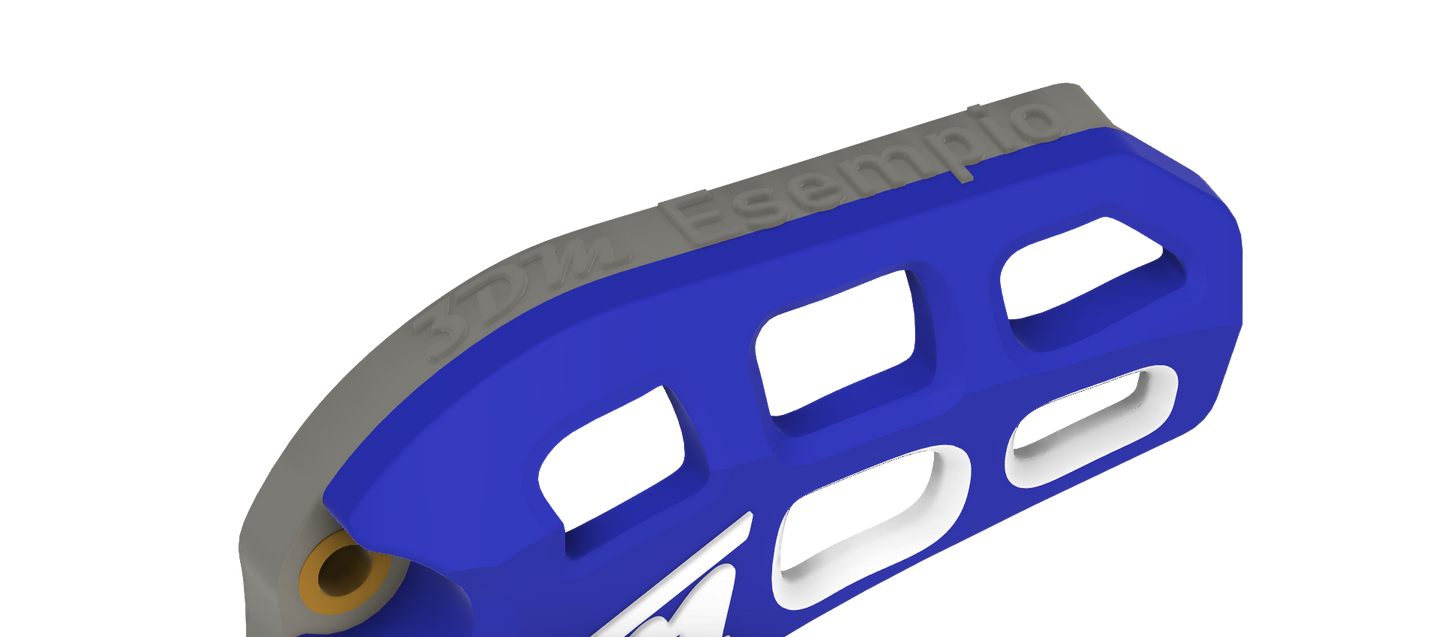 Parapignone TM fi racing