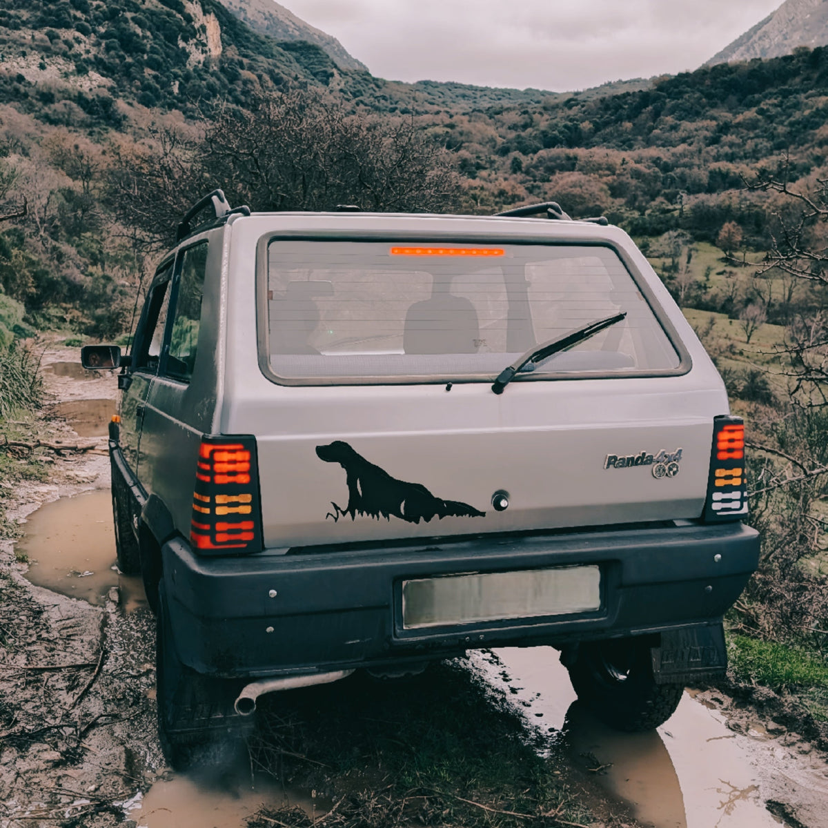 Panda 141