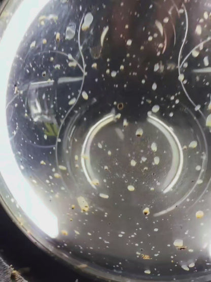 Coppia fari per suzuki jimny