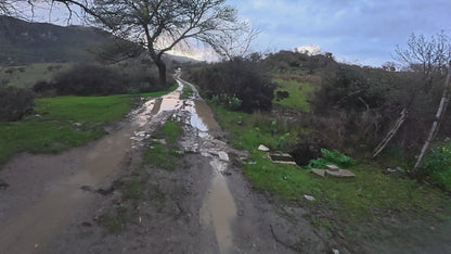 Fari Led Panda 141 tondi